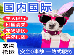 格尔木航空运输国际宠物托运 【国
